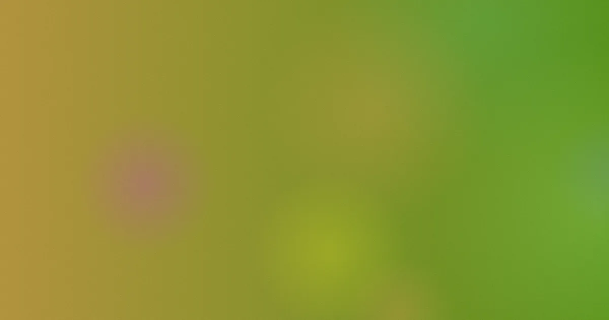 二次元白丝是什么：别想歪